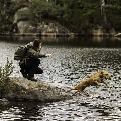 A man and a dog on a rock in a river.
