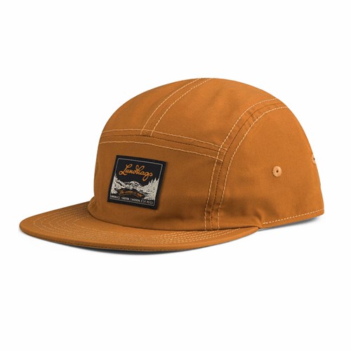 A brown baseball hat.