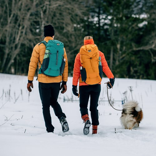 Two people walking a dog in the snow.